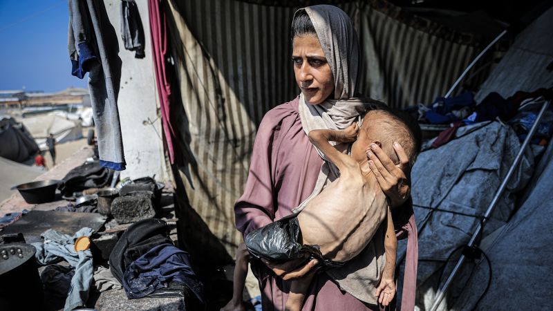 Gaza aid crisis: Why Gazans are dying of hunger or being killed by Israel on a near daily basis Gaza aid crisis: Why Gazans are dying of hunger or being killed by Israel on a near daily basis