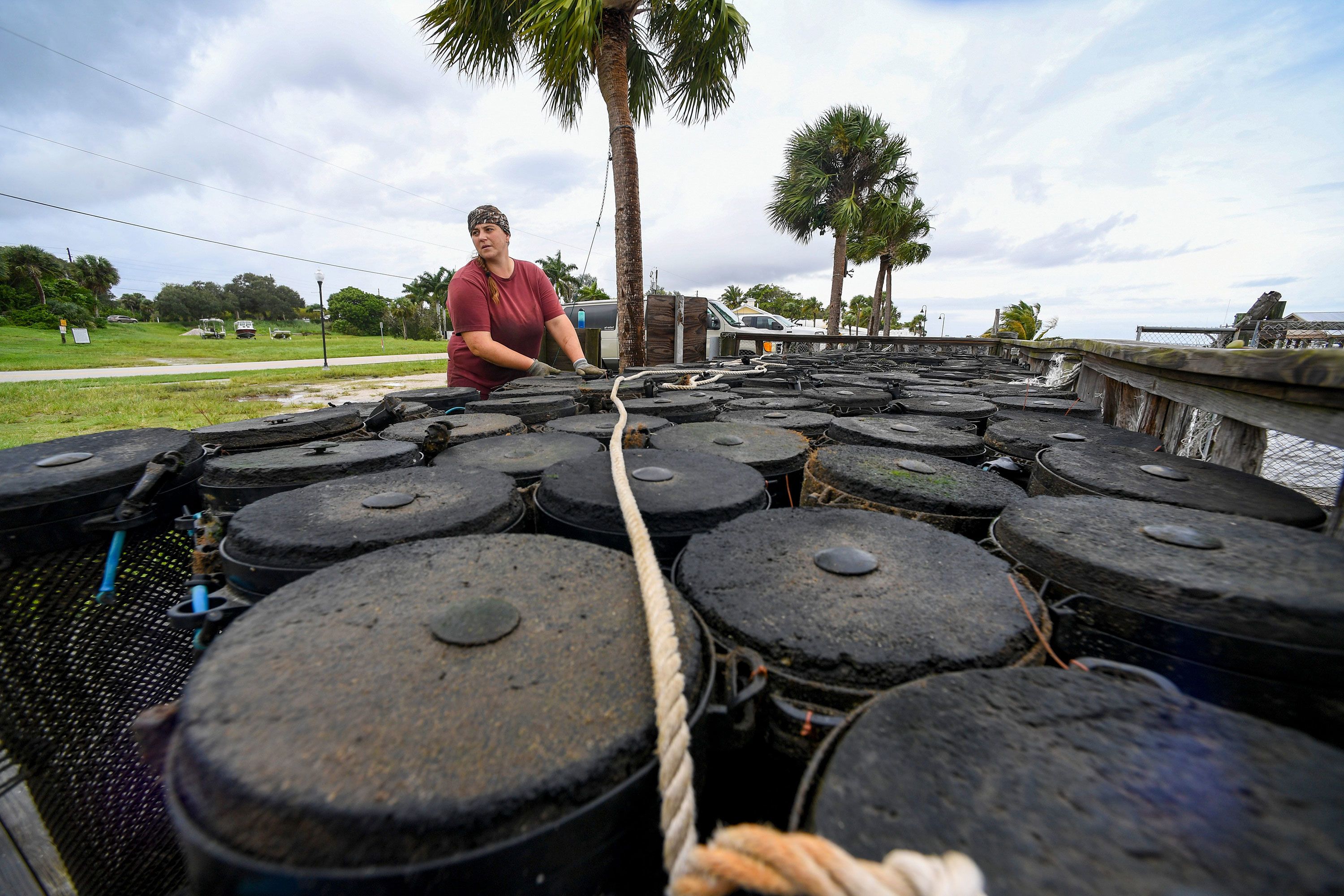 Nicolette Mariano, CEO and aquaculture biologist for her oyster farm, Treasure Coast Shellfish, secures oysters from the farm's dockside nursery in Sebastian, Florida, on Wednesday.