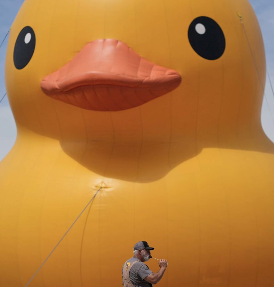 A man walks past a giant rubber duck at the Missouri State Fair in Sedalia, Missouri, on Thursday, August 14.