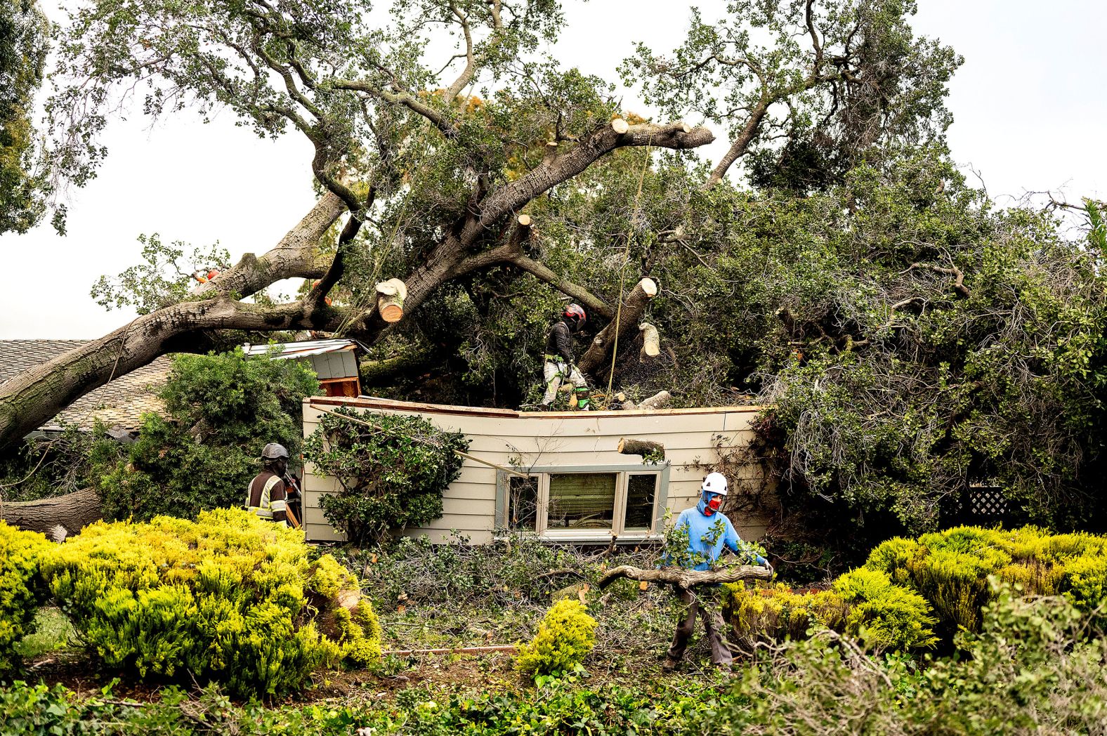 Workers clear a tree that fell onto a home during heavy wind and rain in San Jose, California, on Sunday, February 4. An atmospheric river started making landfall across California on Sunday, <a href="index.php?page=&url=https%3A%2F%2Fus.cnn.com%2Fus%2Flive-news%2Fcalifornia-atmospheric-river-flooding-rain-02-05-24%2Findex.html">bringing strong winds and extreme rainfall</a>.