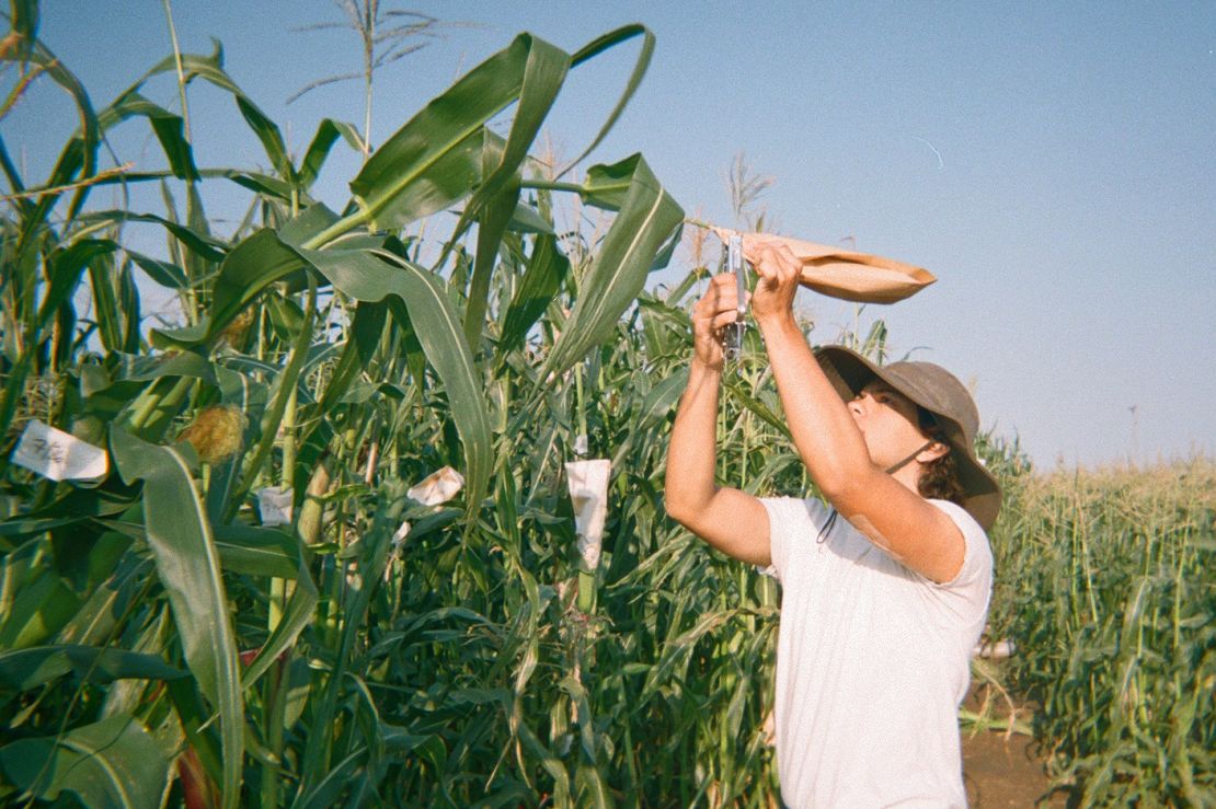 Nathan Gilbert at a University of Missouri farm.