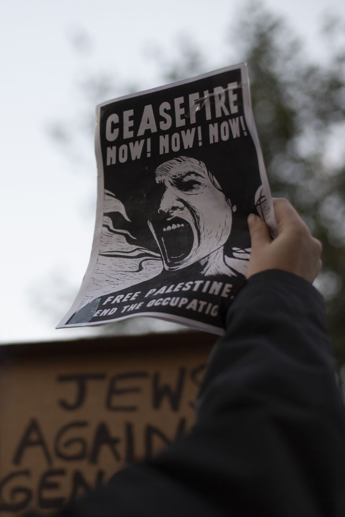 A demonstrator holds a sign calling for a ceasefire during Friday's demonstration.