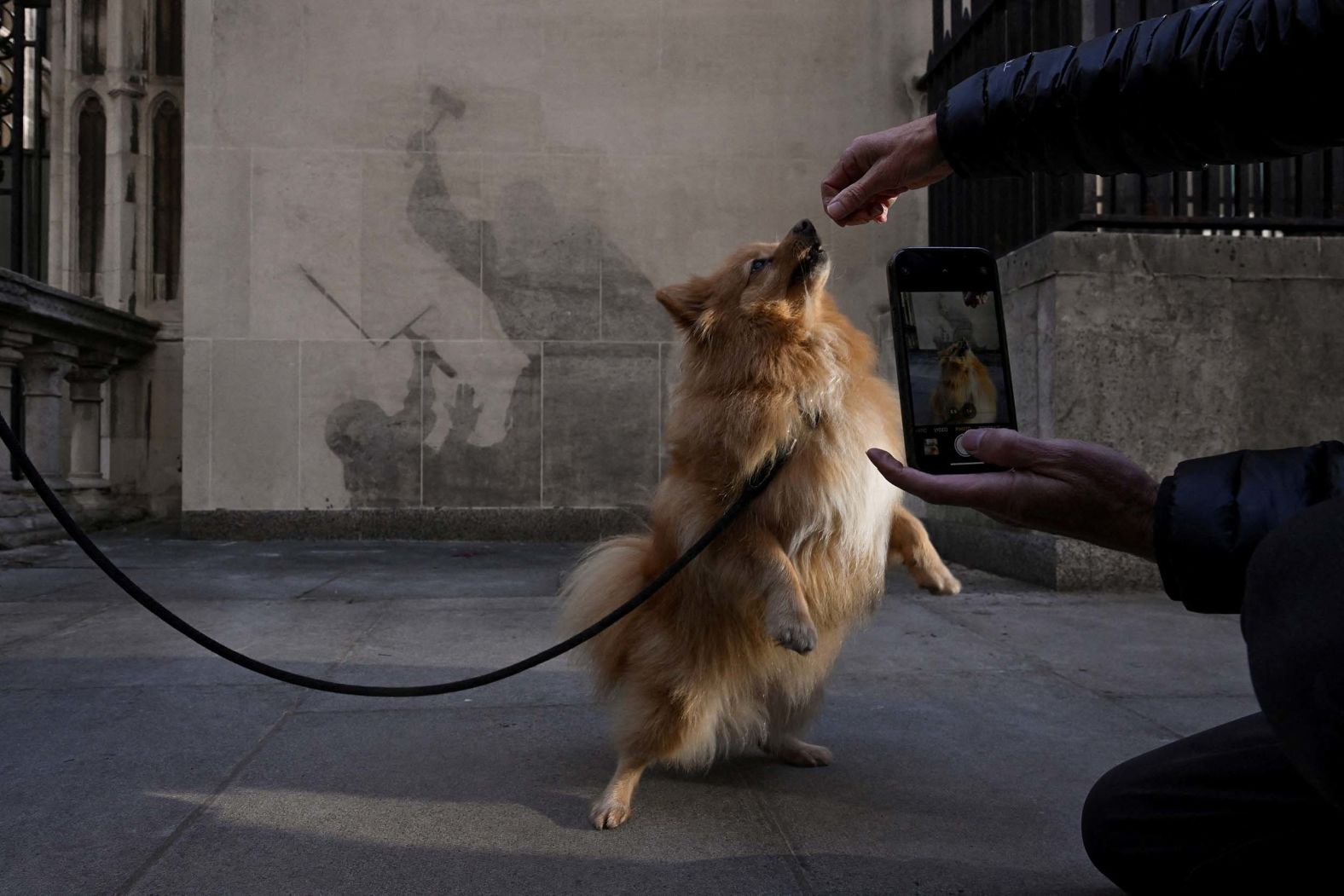 A woman takes a picture of her dog in front of what’s left of a Banksy mural in London on Thursday, September 11. <a href="index.php?page=&url=https%3A%2F%2Fwww.cnn.com%2F2025%2F09%2F10%2Fstyle%2Fbanksy-london-court-mural-removed">The artist’s latest creation</a>, at the Royal Courts of Justice, portrayed a judge beating a protester with a gavel.