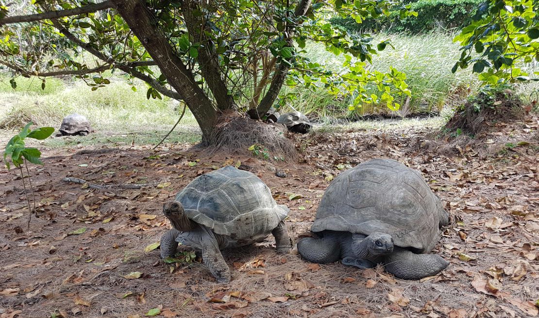 Natucate hopes people taking part in conservation trips will often continue to support projects after they go home.