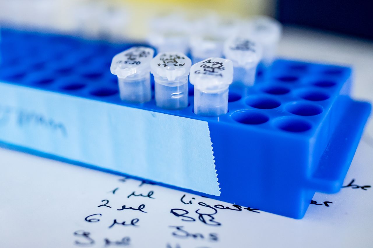 Samples for coronavirus research at the laboratory of the Heinrich Heine University in Düsseldorf, Germany on May 20, where projects include studies on the effectiveness of Remdesivir in clinical application.