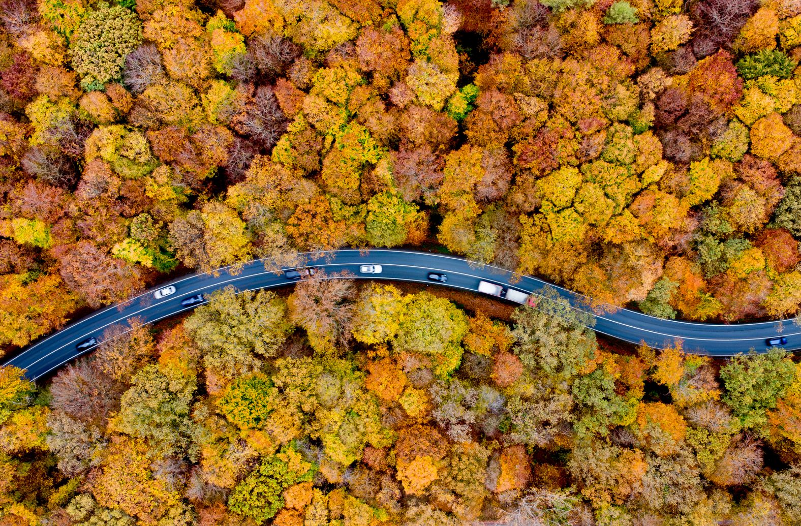 Traffic rolls through a colorful forest in Usingen, Germany, on Friday, November 1.