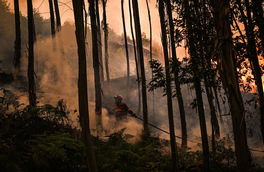 Firefighters working to extinguish a blaze in the town of Arouca.