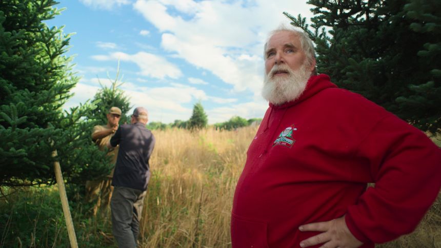 Greg Walsh of 'Greg's Trees' in 