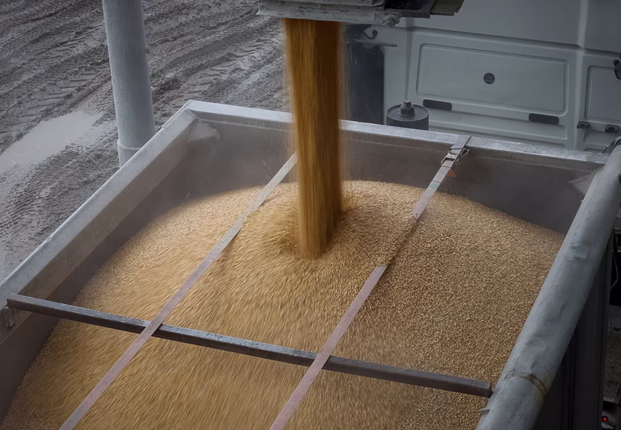 A load of corn is poured into a truck at a grain storage facility in the village of Bilohiria, Ukraine on April 19.