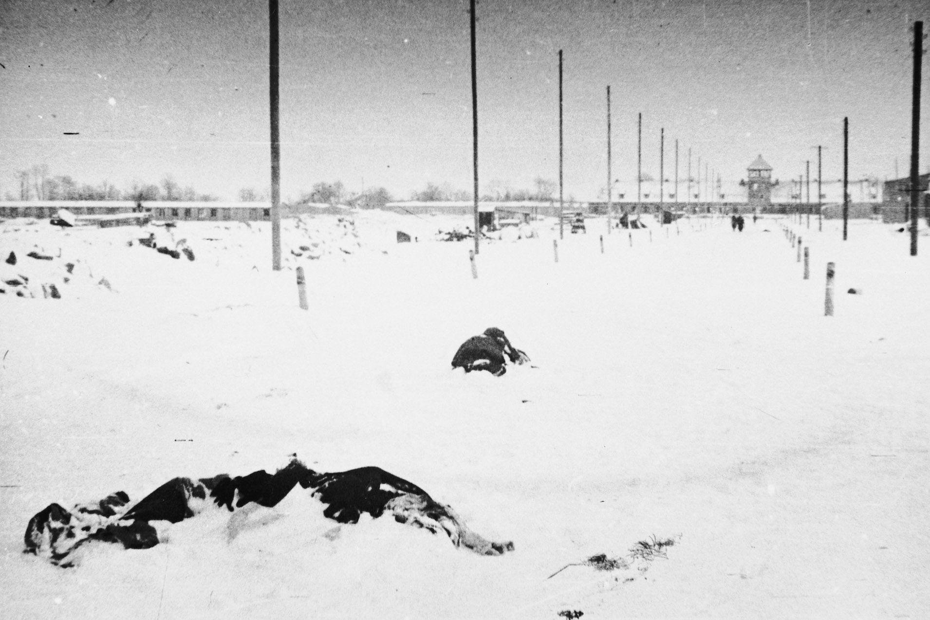 Bodies of prisoners were found covered in snow on the main street of the camp.