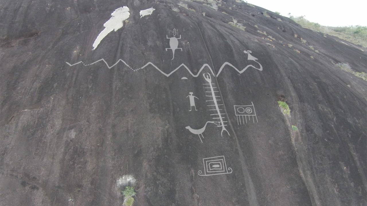 The multilegged creature likely depicts the giant Amazonian centipede, the study said.