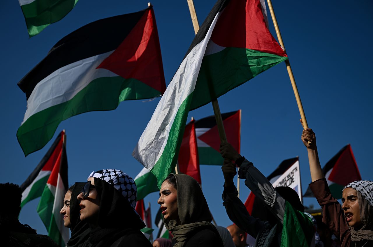 Pro-Palestinian demonstrators protest at Union Park as the Democratic National Convention takes place on August 21, in Chicago.