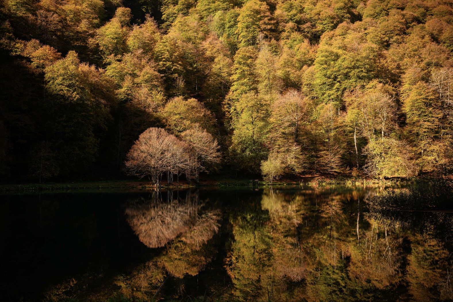 Fall foliage is reflected in Bethmale Lake in southwestern France on Friday, October 24.