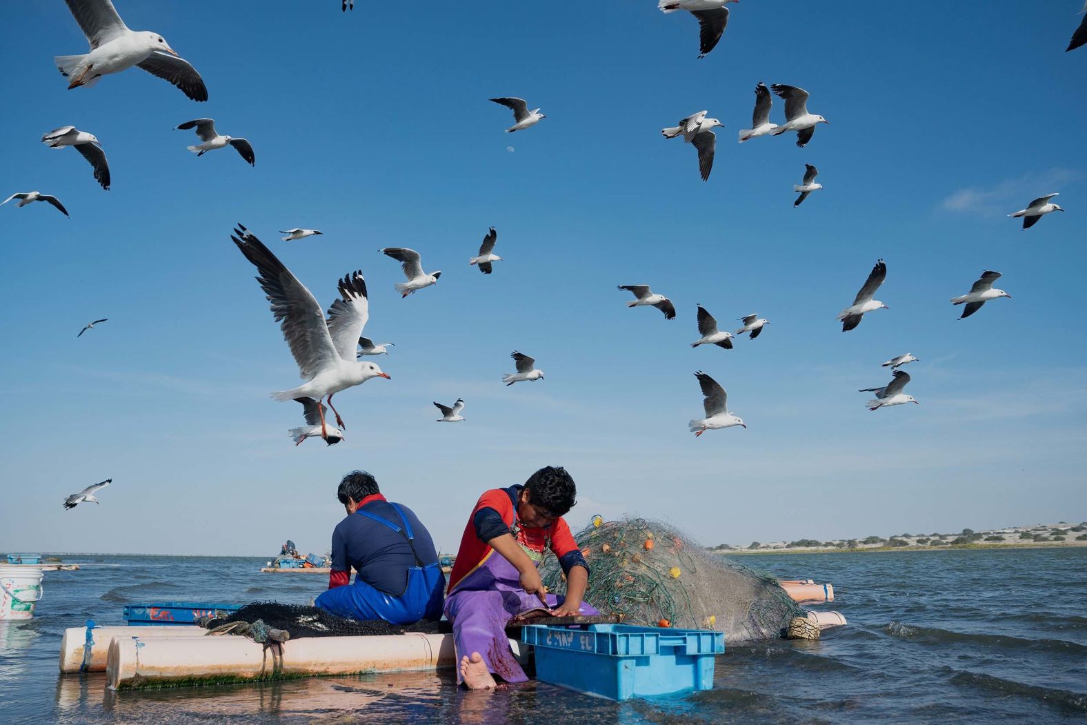Fisherman Luis Rivas, right, cuts fish to sell in Piura, Peru, on Friday, October 31.
