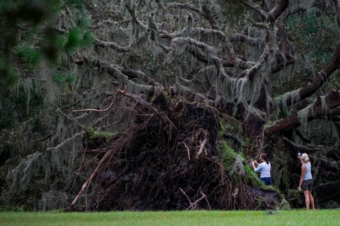 People look at an uprooted tree in Odessa, Florida, on Thursday.