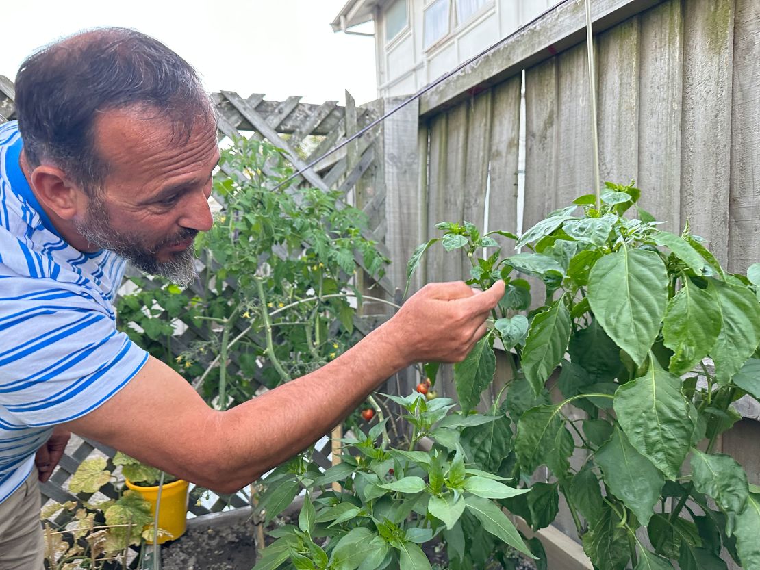 Ataçocuğu shows off his vegetables on February 20 in the garden he built behind his home in central Christchurch.