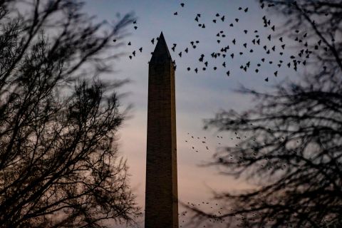 The Washington monument is seen past flocks of birds from the North Lawn of the White House as the sun sets in Washington, DC on December 21.