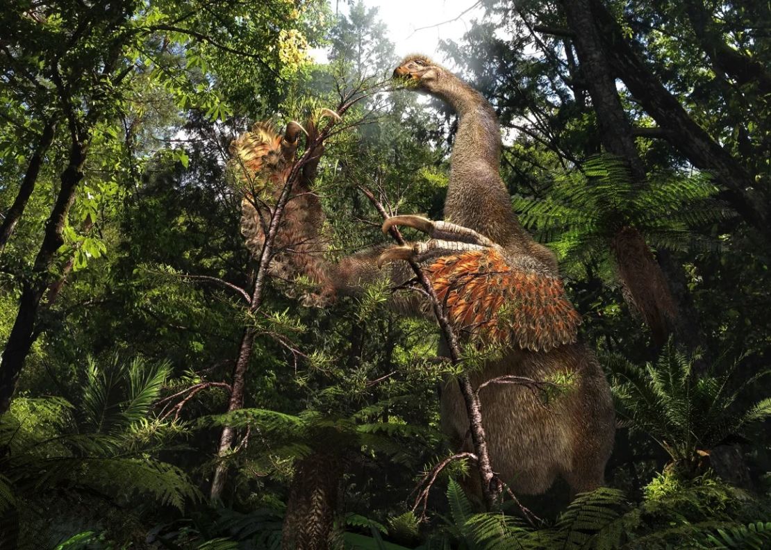 Una ilustración de cómo podría haber sido Duonychus tsogtbaatari en vida, usando sus enormes garras para agarrar las ramas de los árboles.