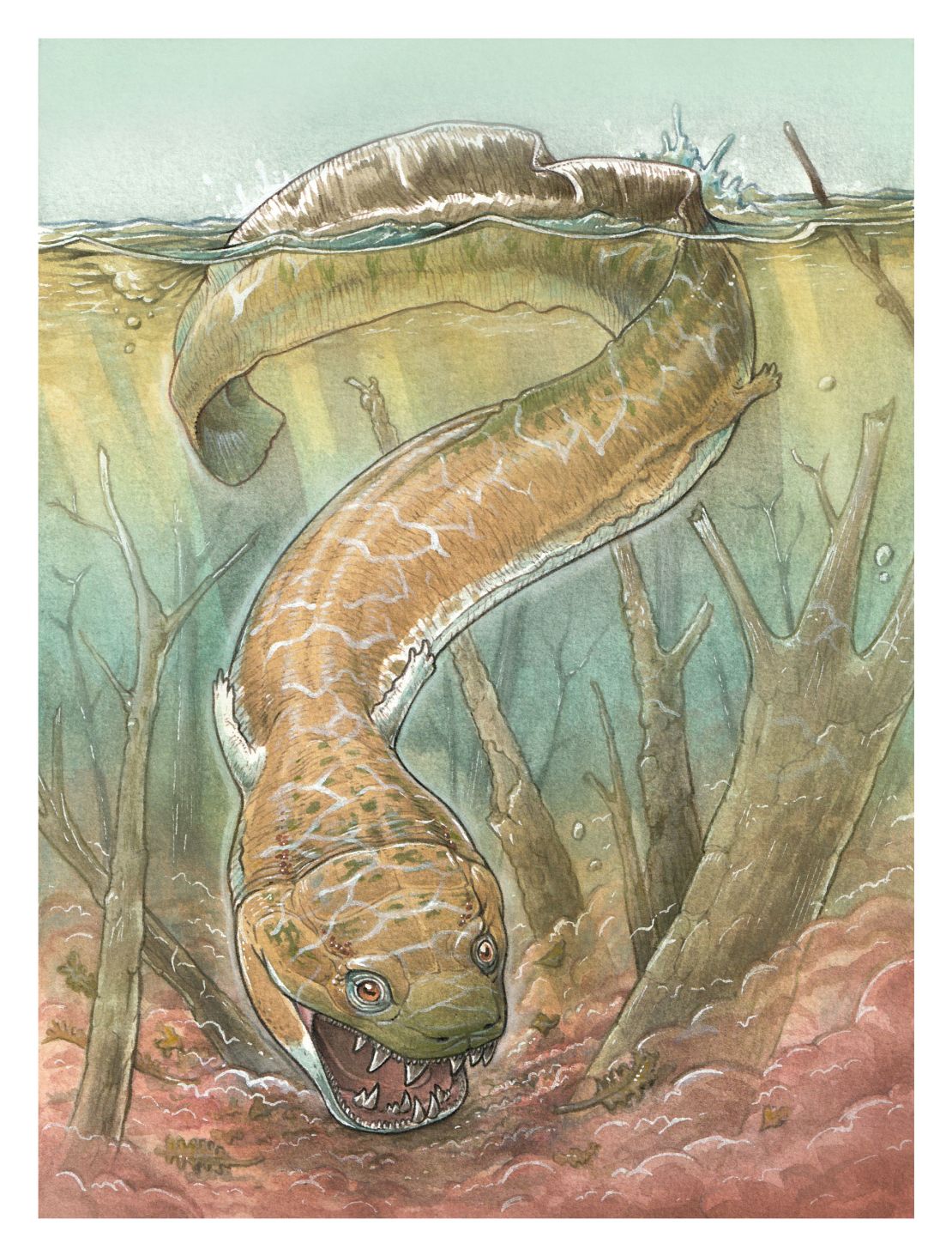 An illustration depicts Gaiasia jennyae lurking at the bottom of a swamp, poised to grab its prey.