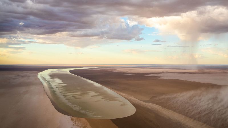 Rare event breathes life back into Australia’s arid outback, attracting both animals and tourists