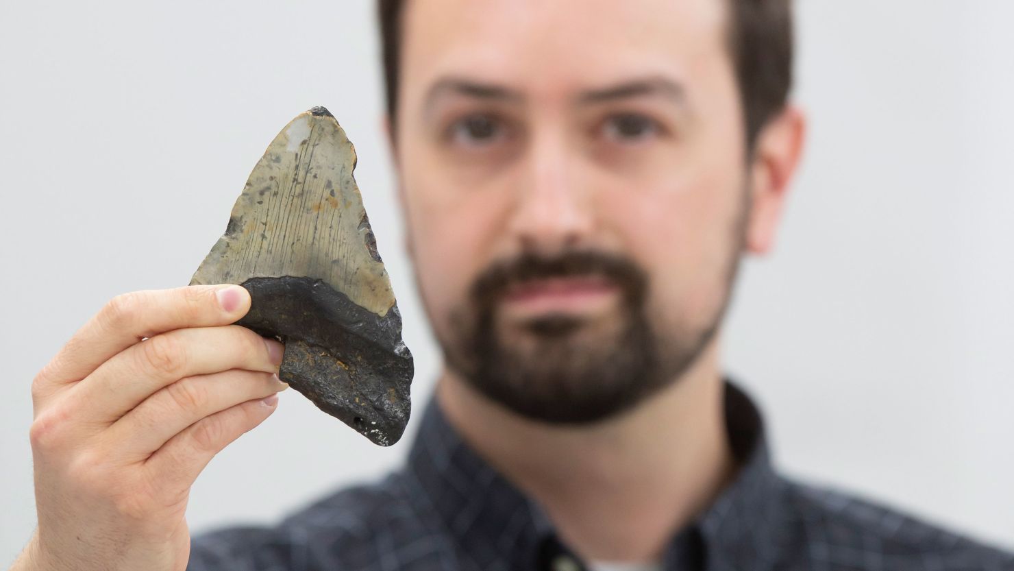 Lead study author Jeremy McCormack of Goethe University in Frankfurt, Germany, holds up  a fossilized megalodon tooth.