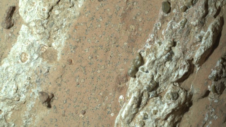 NASA’s Perseverance rover discovered “leopard spots” on a reddish rock nicknamed “Cheyava Falls” in Mars’ Jezero Crater in July 2024.