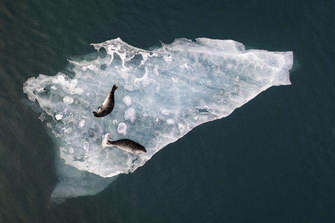 Fabien Guittard’s image of seals lounging on a slab of ice in southern Iceland’s Jökulsárlón glacial lagoon won the Chairman’s Award.