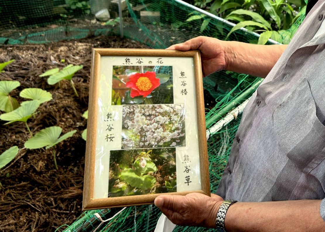 Susumu Fujino shows flower varieties he’s growing in the garden on the site of 1945 fire bombing of Kumagaya.