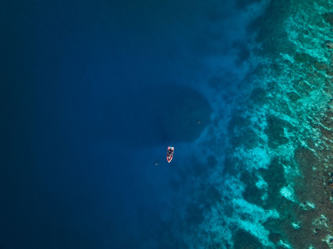 An aerial view of the world’s largest coral, under the stern of a research boat, discovered in the Solomon Islands last month.