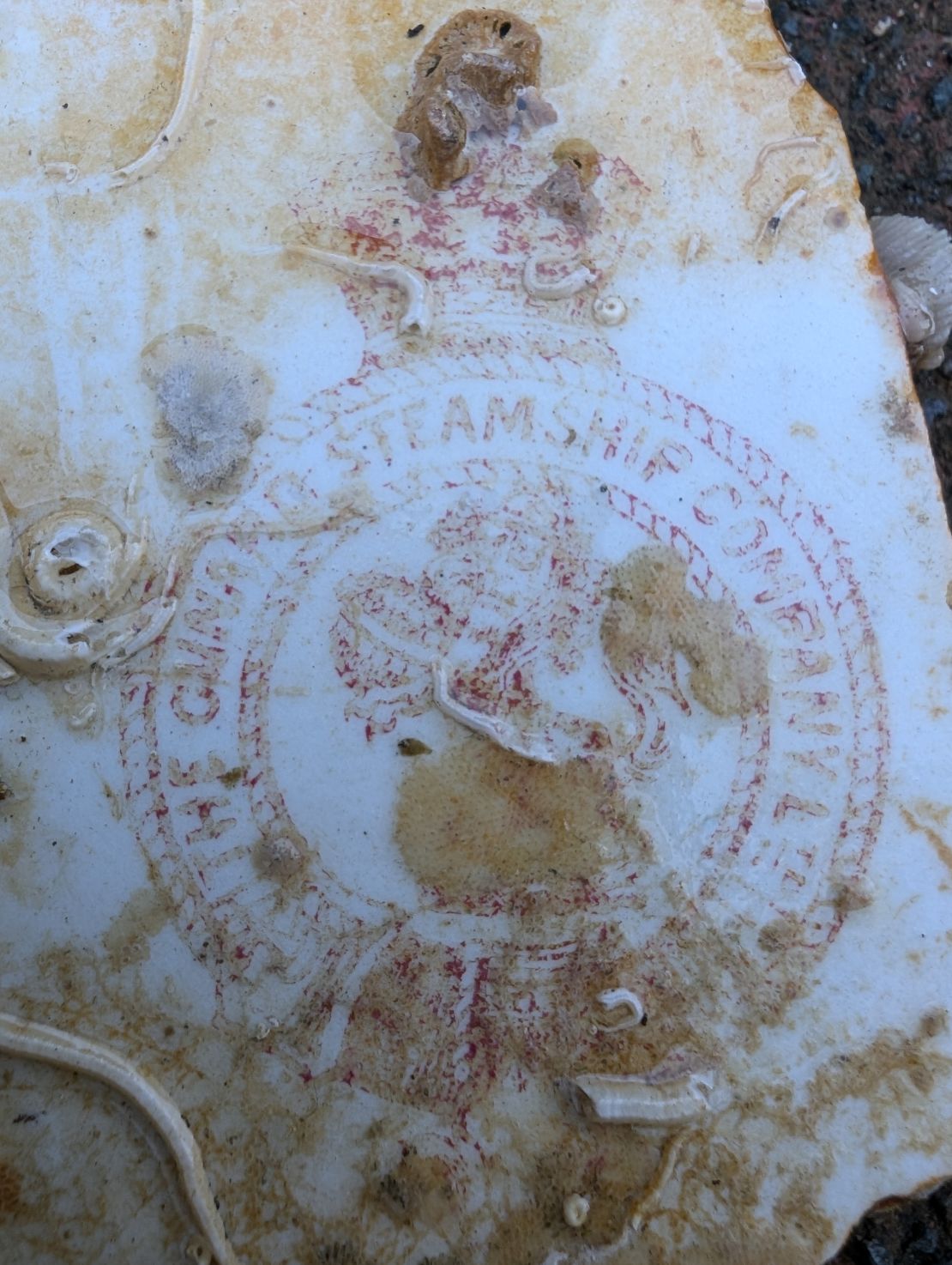 The plate found onboard had the stamp of the Cunard Steamship Company.