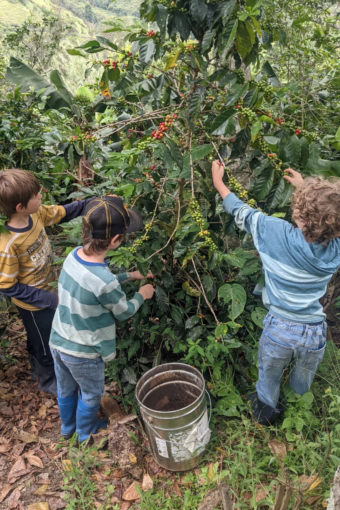 La familia dedica mucho tiempo a su granja de dos hectáreas.