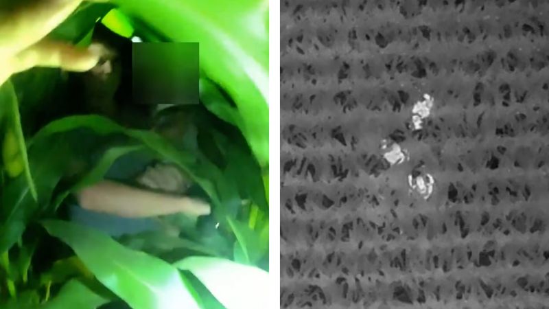 A 3-year-old was lost in a Wisconsin cornfield. Watch the moment he’s found