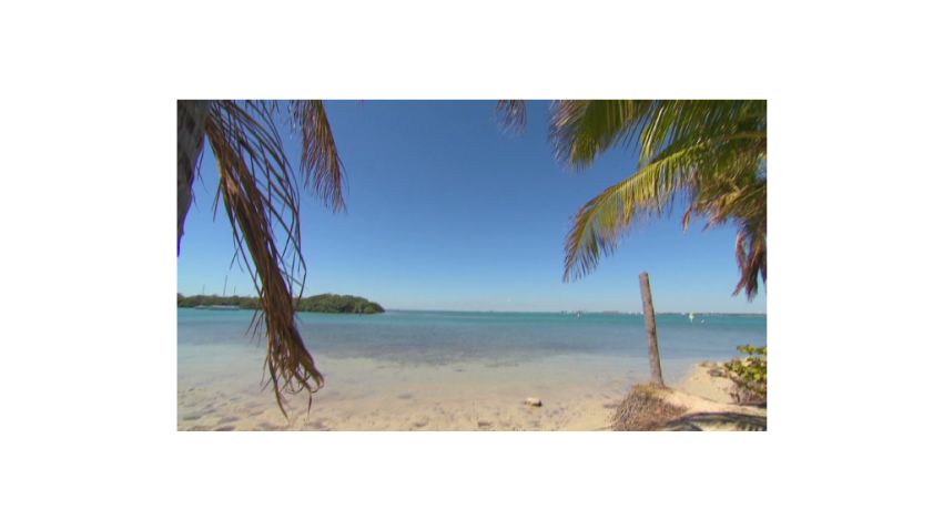 callaway key biscayne travel guide_00023921