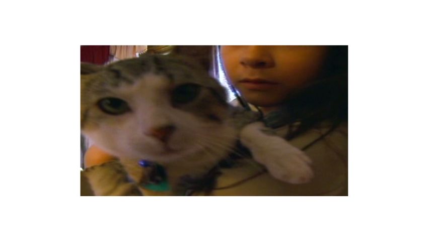 dnt wi family reunited with cat_00003319