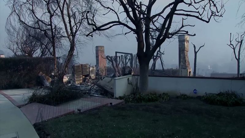 LA Wildfires Destroy Homes, Displace Thousands