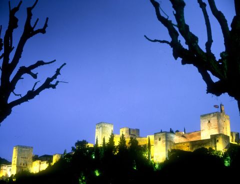 A view of the Alhambra at night. 