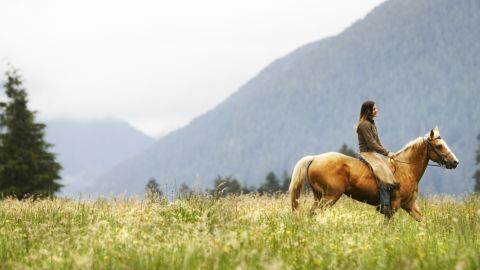 Riding a horse can present a metaphor for life.