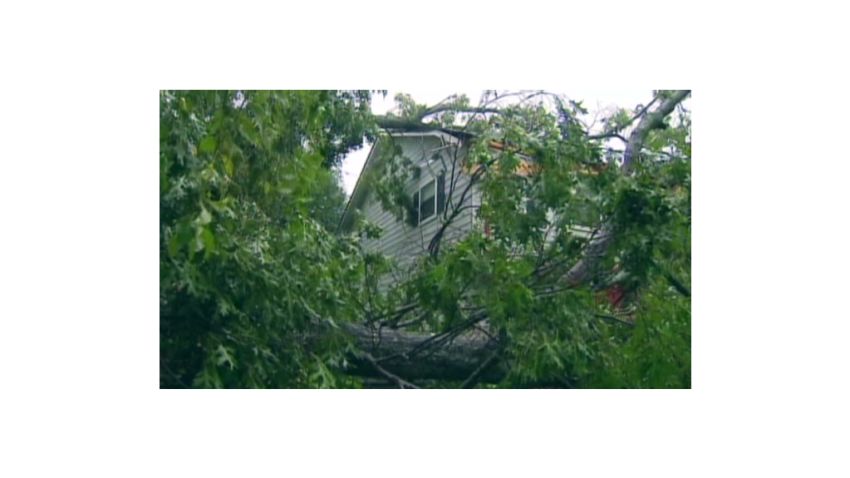 ga.tornado.tree.in.house_00002811