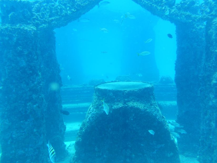 The Neptune Memorial Reef in Miami, Florida, is an artificial reef which doubles as a cemetery.