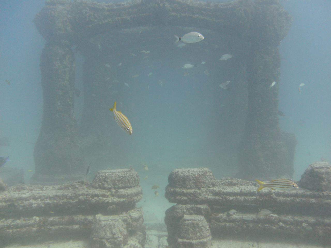 The first phase of the memorial has been built in the style of a "classical re-creation of the Lost City." Relatives of the deceased, scuba-divers and marine biologists are among those who dive among the statues of lions and coral-encrusted arches on the sea floor.