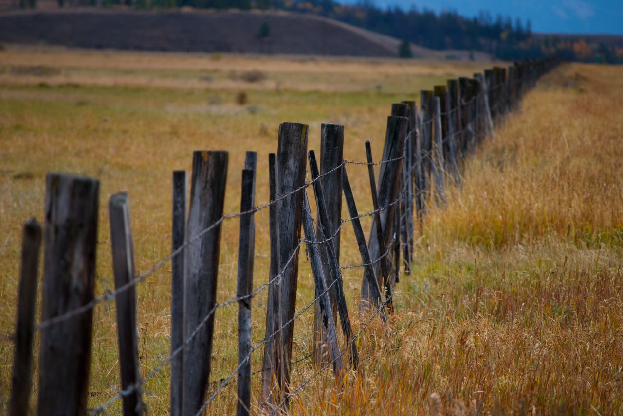 A crude wire fence stretches for miles in Stanley, Idaho.