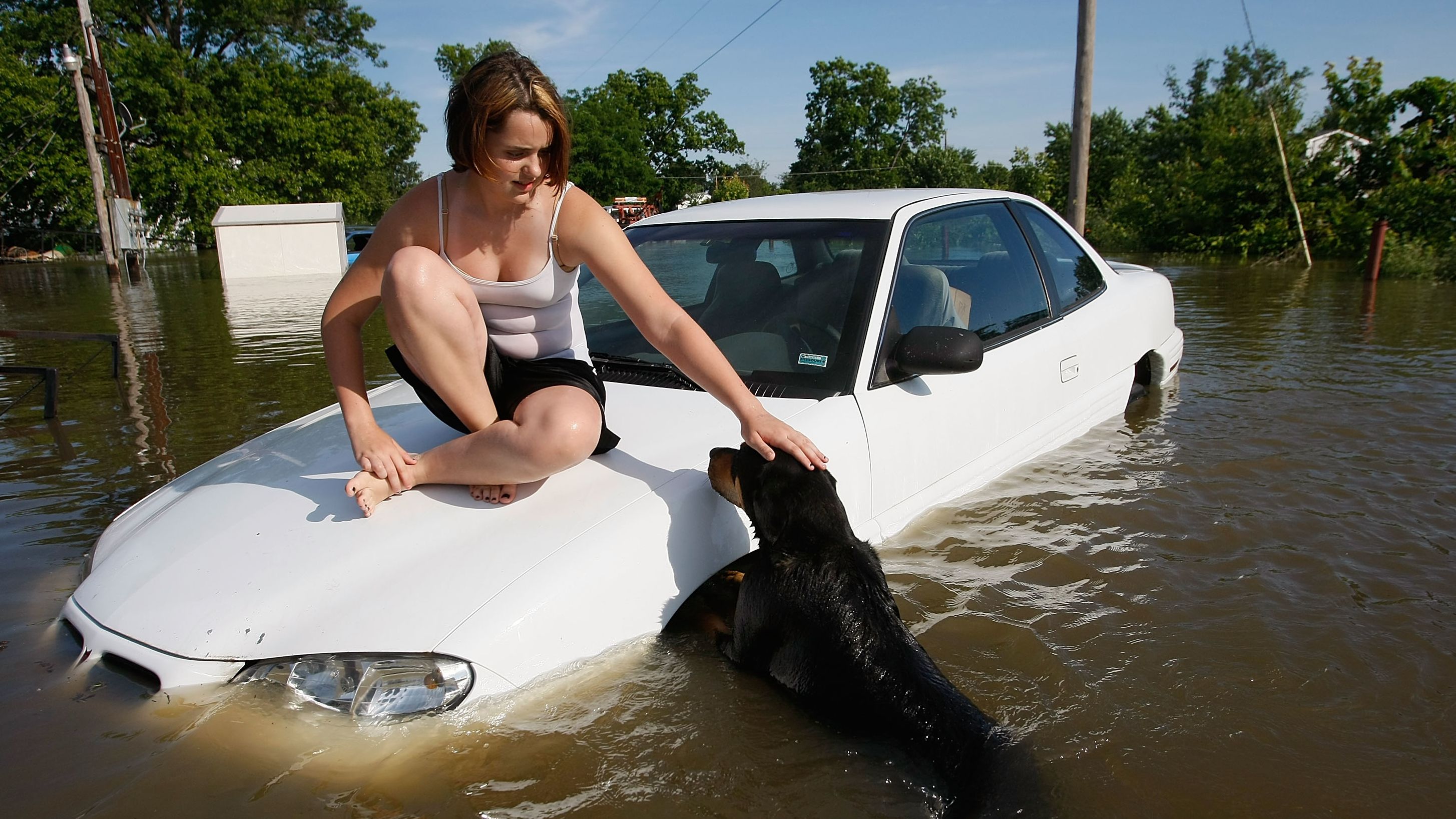 When the Mississippi River flooded parts of Missouri, Alexae Dunn and her dog Lady were surrounded by waist-high water.
