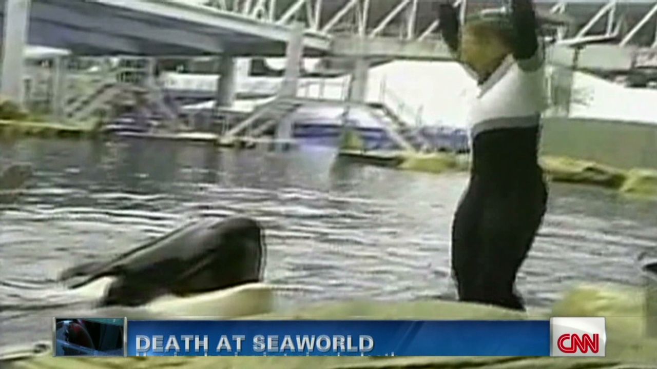 What caused trainer’s death at SeaWorld? CNN