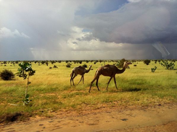 Camels are seen along the roadside as CNN's Nic Robertson endures a 12-hour drive from Niger's captial, Niamey, to Agadez. 