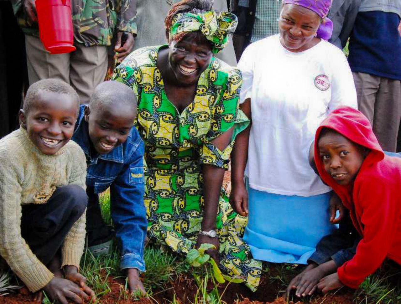 All in all, the Green Belt Movement has assisted in planting more than 40 million trees worldwide.