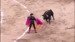 martinez catalonia bullfighting_00004413