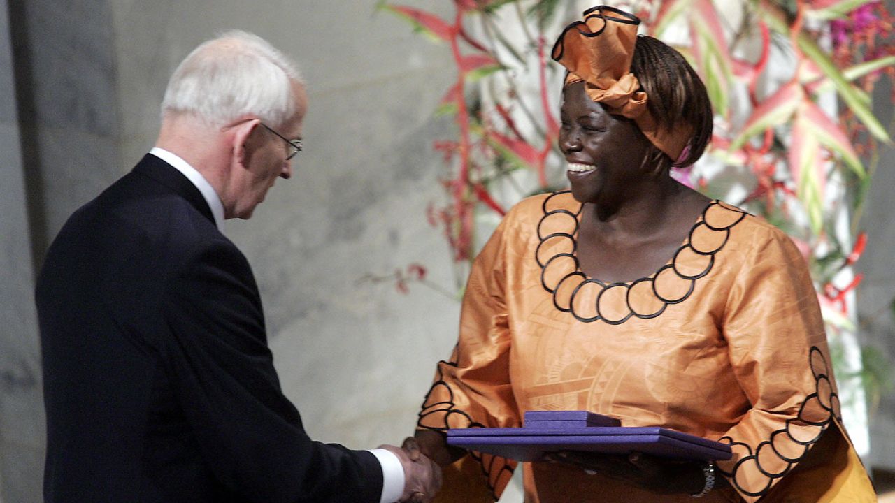 In 2004, Maathai was awarded the Nobel Peace Prize for her efforts to promote sustainable development, democracy and peace.
