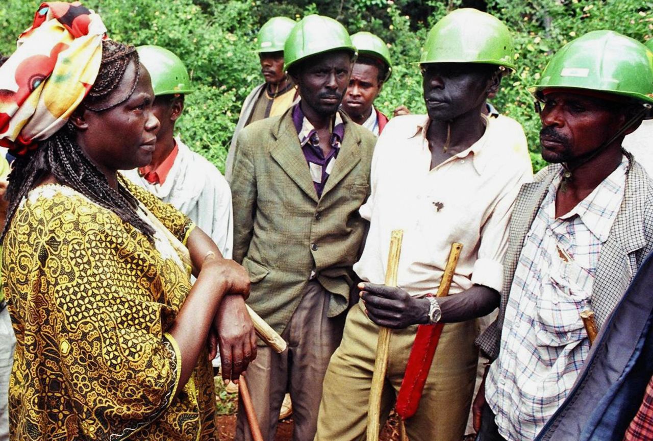 Maathai was famed for her commitment to environmental causes. Here she confronts hired security guards in Kenya aiming to prevent her organization, the Green Belt Movement from planting trees