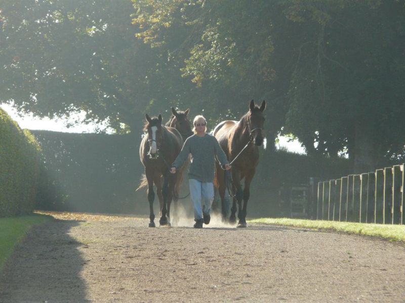 Billionaire Spiritual Leader Aga Khan Funds Royal Horse Stables Museum ...