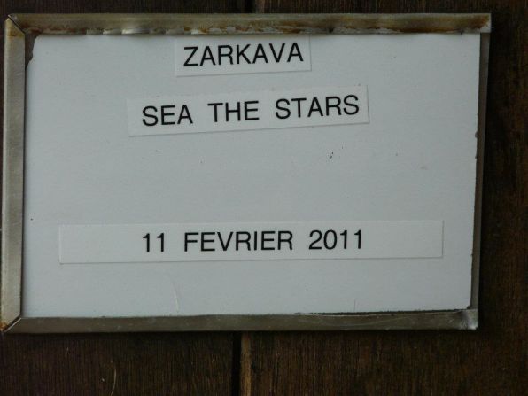 The foal's rich stock is displayed on this sign outside of his stable, confirming the date of his highly-anticipated birth.